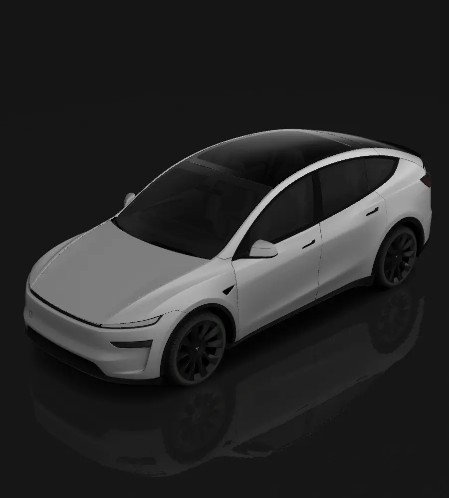 Model Y L
